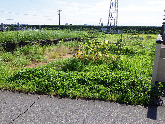 現地調査・条件確認